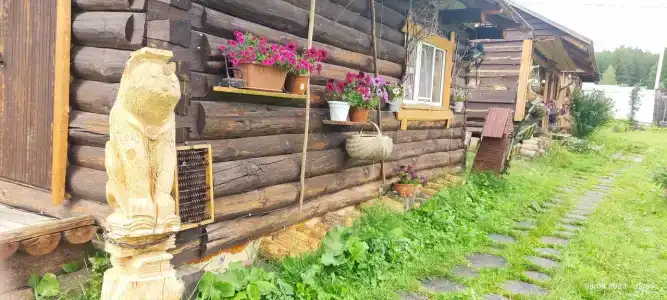 Ясная поляна - 25