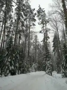 Приозерный - 14