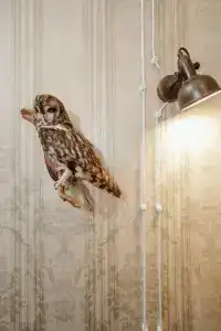 Дом купчихи Ершовой - 47