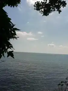 Ника - 56