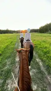 Бородино - 31