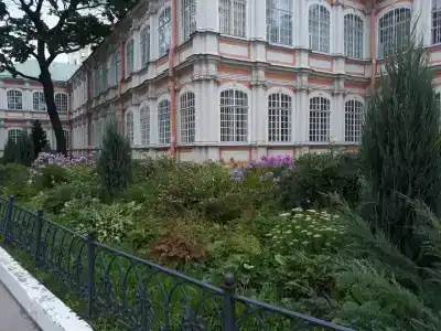 Ирис - 5