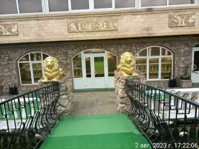 Орхидея - 9