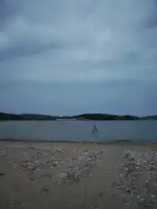 Зелёная полянка - 62