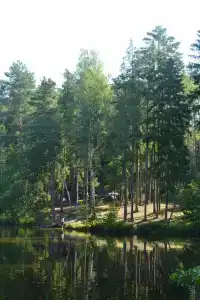 Железинка - 26