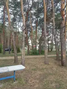 Ясная поляна - 49
