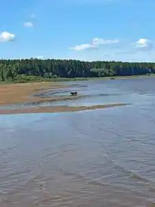Три Берега - 35