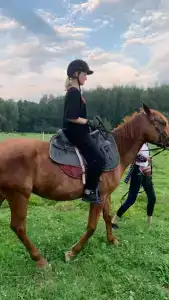 Бородино - 51