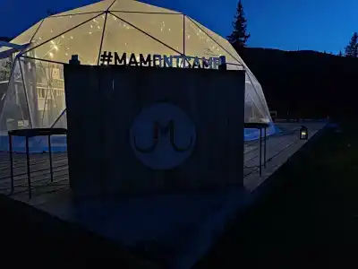 Мамонт - 13
