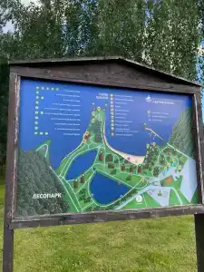 Черные камни - 99