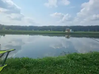 Гордеево-Парк - 44