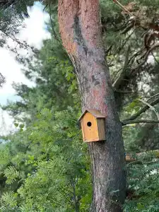 Богослово - 25