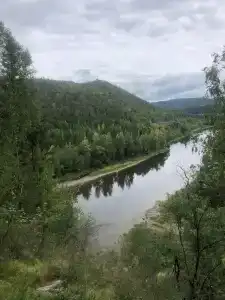 Автобус в лесу - 39