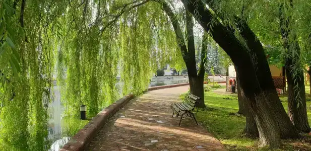 Богородское - 25