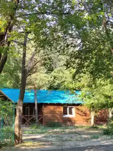 Березовые дали - 7