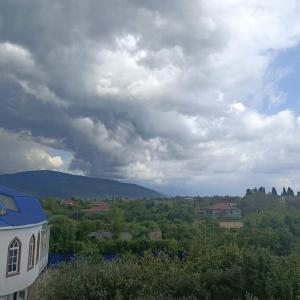Жанна - 28