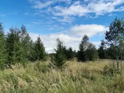 Храброво - 53