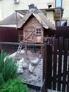 Калипсо - 32