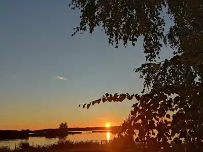 Объект 100 - 50