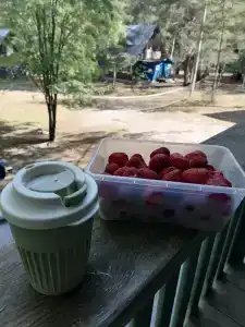 Поляна сказок - 37