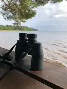 Инжунаволок - 43