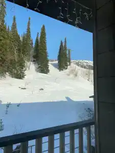 Три совы - 88