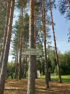 Динамо - 18