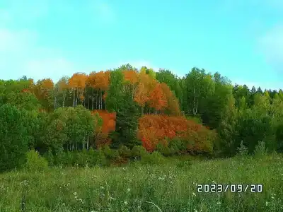 Серебряный ключ - 33