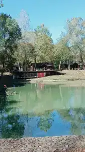 Комарово клуб - 89