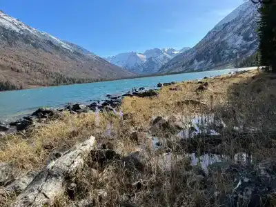 Замульта кемп - 28