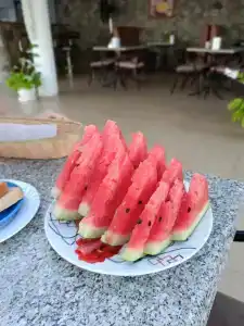 Панорама - 58