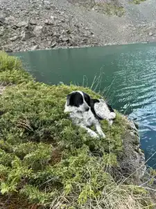 Kuiaktanar Camping - 19