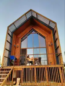 Фридом Веселовка - 43