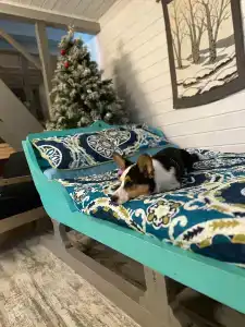 Родная Усадьба - 91