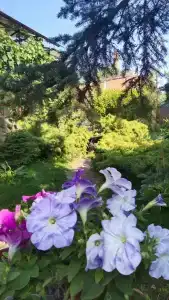 Подворье - 6