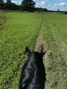 Храброво - 14