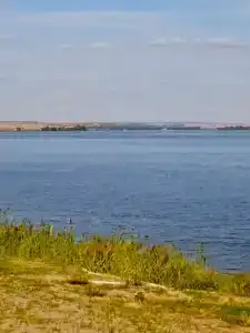 Ерши - 36
