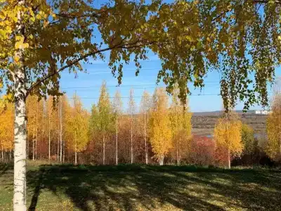 Авитек - 28