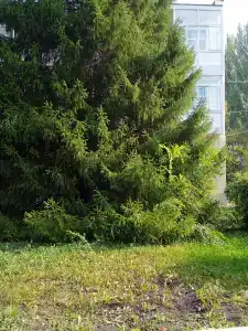Солнечный - 4
