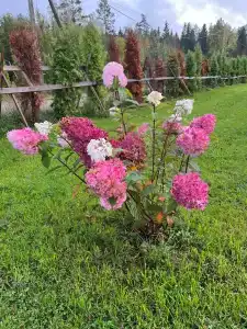 Novozhilovo Park - 7