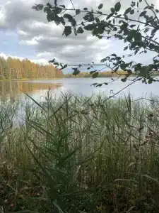 Марково - 16