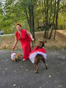 Простоквашино - 91