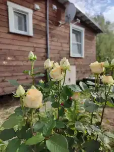 Тихий уголок - 18