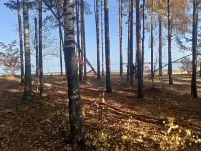 МореОстров - 43
