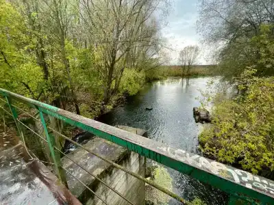 Пантера - 30