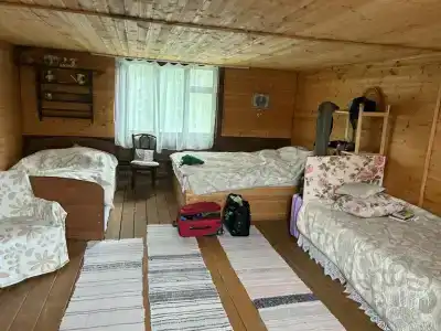 Жар-птица - 2