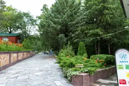 Радуга - 25