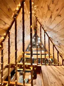 Ильинка лес - 87