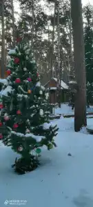 Прииртышье - 21
