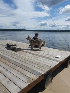 Дом-Шалаш на Усе - 39